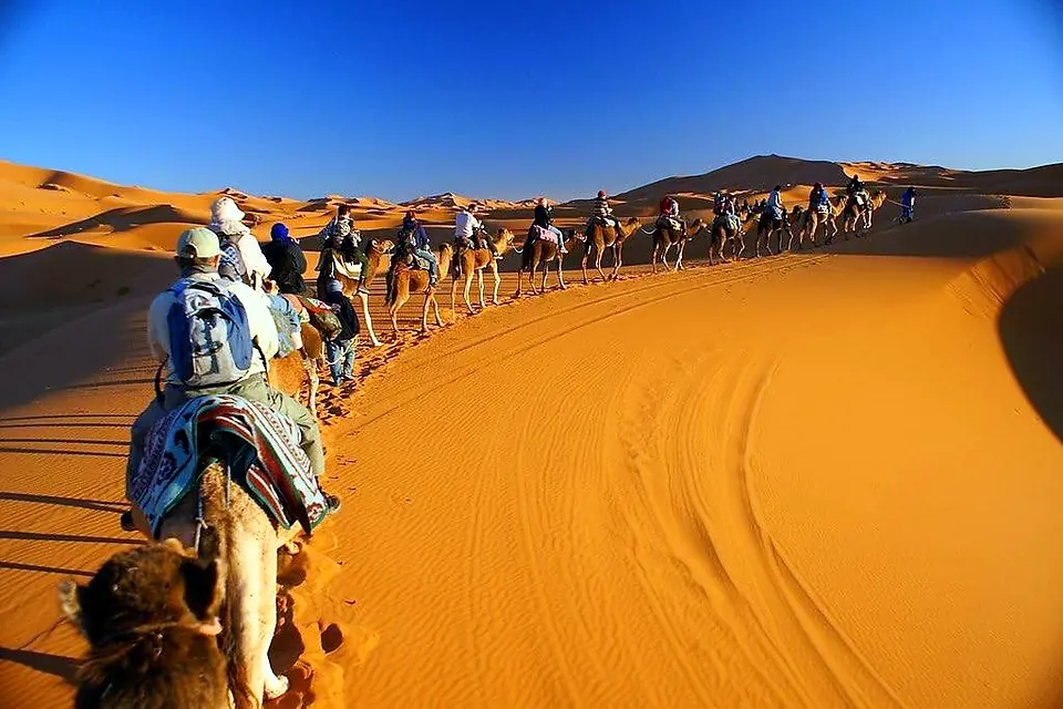 Camel trek across the Sahara