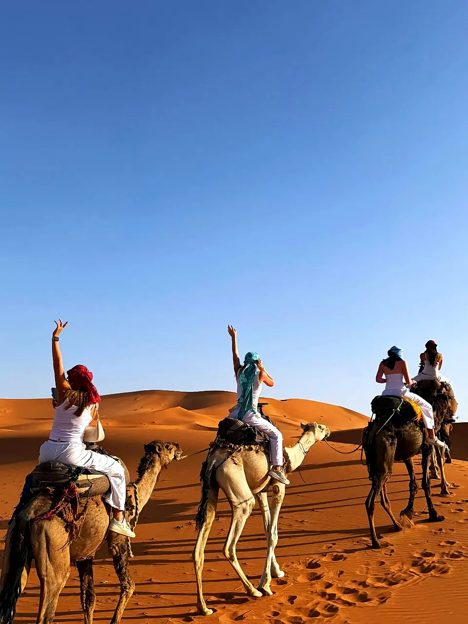 Camel trek into the dunes